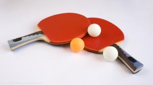 China Custom Table Tennis Racket , Lightweight Ping Pong Paddles factory