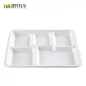 China Eco Friendly 5c Biodegradable Disposable Tray Sugarcane Bagasse Products Compostable on sale