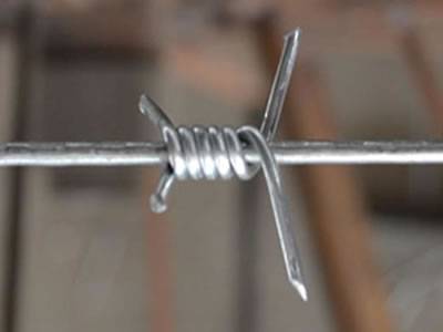 Single Twist Barbed Wire