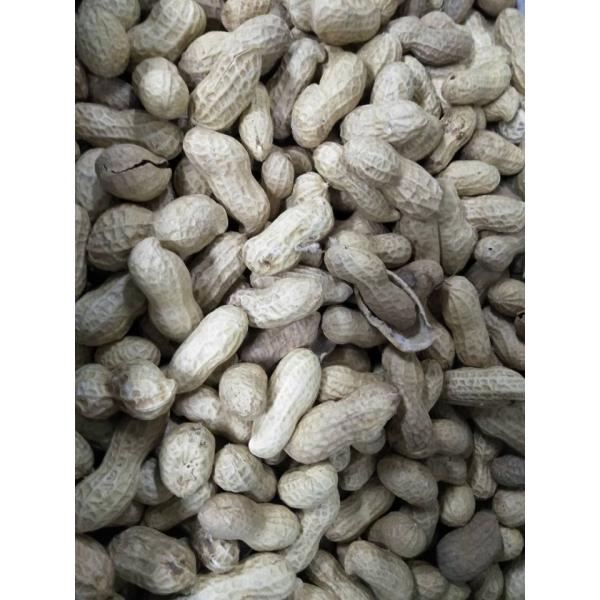 AI Technology CCD Color Sorting Machine 5.5KW Power Used For Color & Shape Seperation