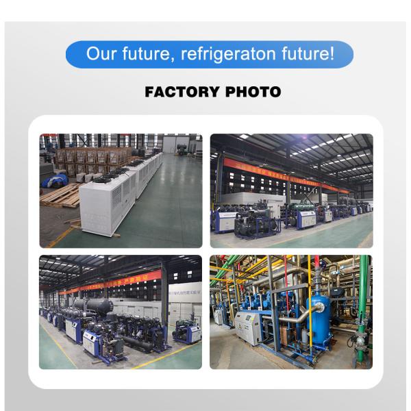 Custom Multi-Compressor Rack To Cater To Unique Cold Storage Needs