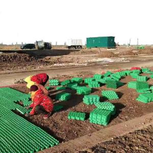 China Green Parking and Garden Honeycomb Gravel Grass Paver Manufactured from HDPE Plastic factory