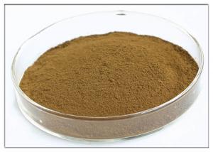 China Oleuropein 20% Natural Olive Leaf Extract For Dietary Supplement Brown Powder on sale