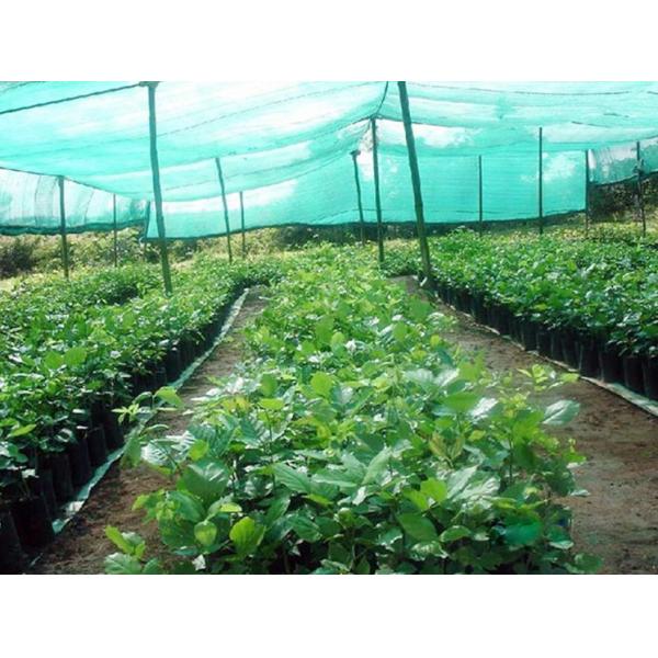 High Production Monofilament Shade Net Warp Knitting Machine for 12000 KG HDPE Shading Net Manufacturing