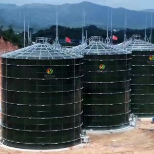 China Dung Gas Plant Human Waste Biogas Plant Anaerobic Digestion Power Plant on sale