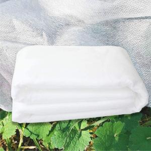China 1.6mx10m Plant Protection Fleece , Multipurpose Non Woven Crop Cover on sale