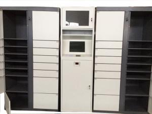 China Electronic Smart Parcel Delivery Lockers for University Online Shopping Delivery factory