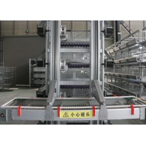China High Efficiency Automatic Egg Collection System / Egg Farm Machinery factory