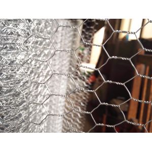 Galvanized Or Pvc Coated Hexagonal Wire Mesh , Hexagonal Chicken Wire Mesh