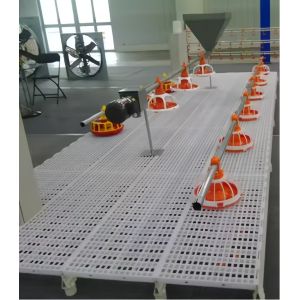 Automatic Feeding System For Broilers And Layers