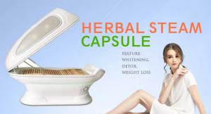 China 6 In 1 Dry Steaming Wet Steamed PDT Infrared SPA Capsule Machine 2100w factory