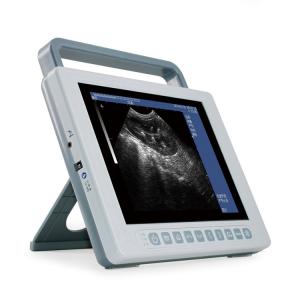 China Veterinary Medical Ultrasound Machine 2D B Mode Ultrasound Scanner GHK10 on sale