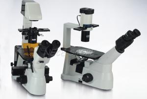 China Biological Laser Scanning Fluorescence Microscopy With OSRAM 100W DC Mercury Lamp factory