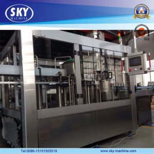 China Automatic Bottled Water Filling Machine/Line/Equipment factory