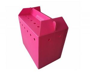 China New Style polypropylene corrugated plastic danpla sheet carton box boxes pp hollow corflute packaging factory