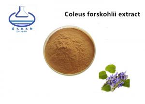 China Forskolin Organic Licorice Extract , Coleus Forskohlii Root Extract 20% on sale