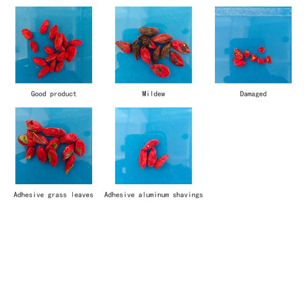 Wolfberry Sorting Machine with Advanced Imaging and Spectroscopy Technology