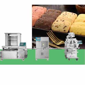 Automated Cookie Encrusting Machine 100g Biscuit Making Equipment