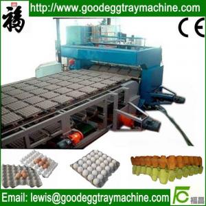 China machine for egg tray on sale