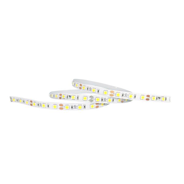 Monochrome SMD 5050 LED Strip Light 12V 24V With Remote Control Switch