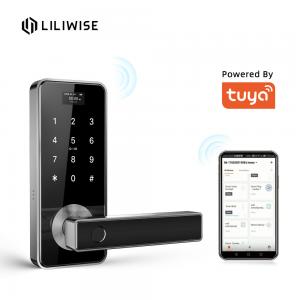 China Tuya Biometric Fingerprint Door Lock Handle Digital Keyless Smart Door Lock factory