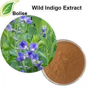 China Wild Indigo Extract on sale