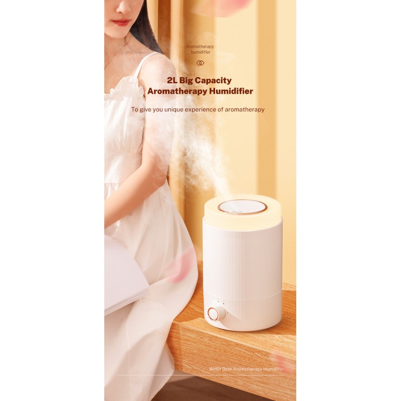 2L Big Capacity Aroma Diffuser Aromatherapy Diffusers and Air Humidifiers