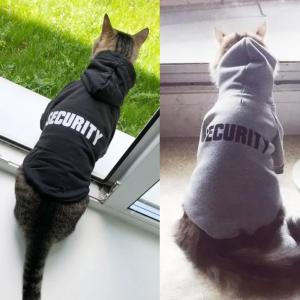 China Eco Friendly Cute Cat Hoodie , Warm Pet Costumes For Small Dogs factory