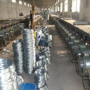 China Electro Galvanized Wire factory
