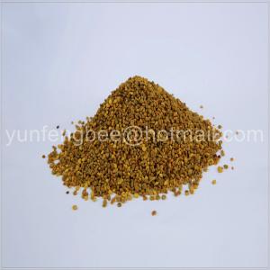 China Hot selling pine pollen powder wholesale bee pollen prices factory