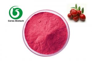 China 99% Freeze Dried Organic Cranberry Juice Powder Bulk Beverages Use factory