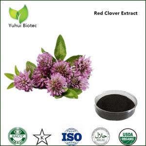 China red clover extract,natural red clover extract,clover extract,red clover extract powder factory
