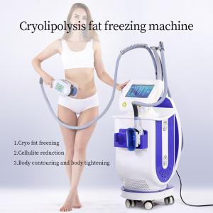 China Led Cryolipolysis Vacuum Machine Fat Cellulite Freezing Cavitation Weight Loss Vertical factory