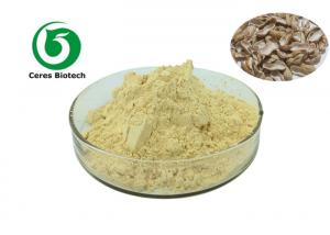 China Natural Health Care Products Horseradish Root Extract Powder 10/1 20/1 on sale
