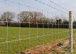 Galvanized Cattle Wire Fence / Knotted Wire Field Fence For Horse