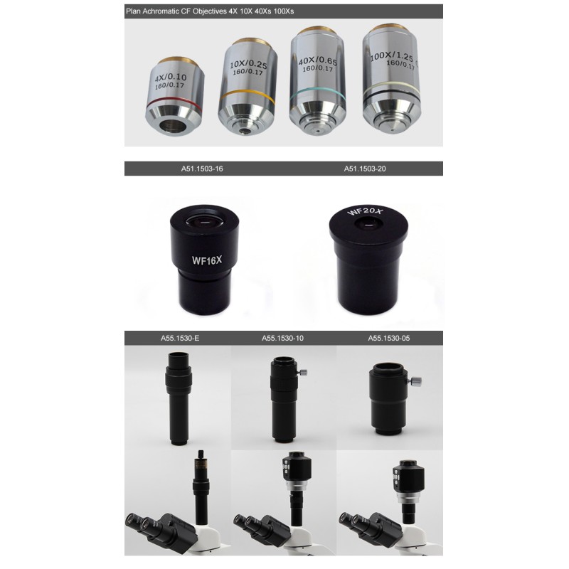 Teaching OPTO-EDU A11.1531 40X Compound Light Microscope