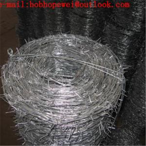 China barbed wire security fence/crosses made from barbed wire/barbed wire staples/4 strand barbed wire fence on sale