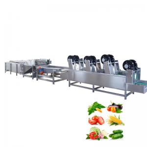 China Fresh Fruit Vegetable Processing Machine 300-1000kg/h Automatic High Efficiency factory
