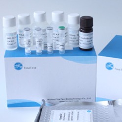 Multiple Tests CE Self Rapid Test Kit Hbsag Veterinary Melamine 96 E
