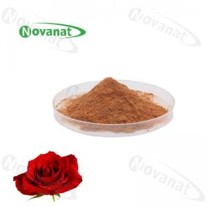 China Antifatigue Rose Flower Extract Powder 4/120% And 25% Polyphenols/Food Beverage factory