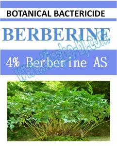China 4% Berberine AS, biopesticide, organic bactericide, botanic, natural factory