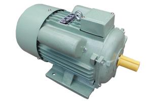 China 2 Pole Single Phase Synchronous Motor 0.75 HP For Small Type Drilling Machines factory