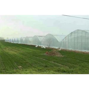 Single Thread Agricultural Insect Netting / Insect Screen Roll UV Stabilized