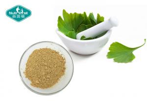 China Ginkgo Biloba Standardized Extract Powder 24/6 for Memory Support factory