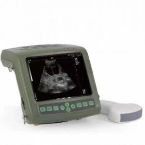 China Livestock Pregnancy Ultrasound Scanner Veterinary Camel Yak Vet Ultrasound Equipment on sale