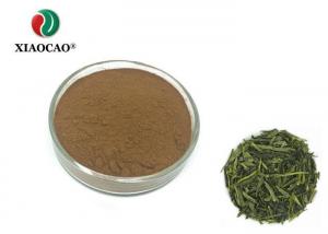 China 80 Mesh Green Tea Standardized Extract Anti Oxidation Food Field factory