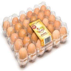 China Convenient 8pcs 0.7mm PVC Plastic Egg Carton Transport Egg Incubator Tray on sale