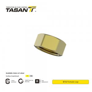 China Air Condition System 1 Inch Brass Fittings Female Cap High Durability factory