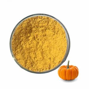 China Healthy Foods Dehydrated Dried Pumpkin Powder With ISO Certification factory
