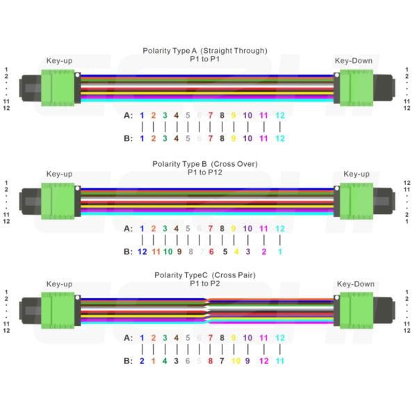 OM5 Patch Cable Series MPO Trunk Cable For High Density Optical Connectivity